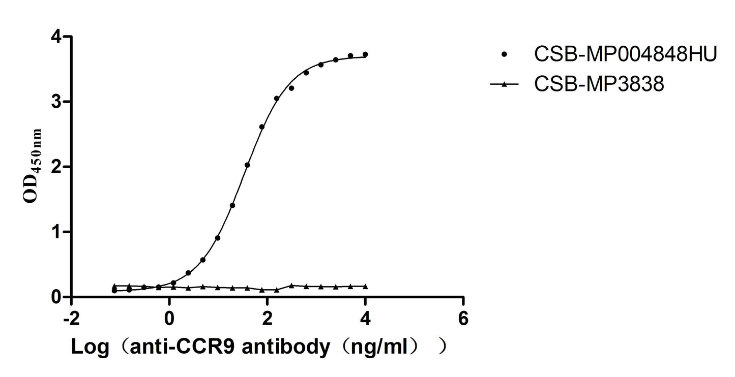 CCR9 Recombinant Monoclonal Antibody
