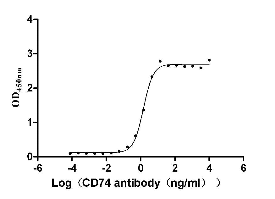 CD74 Monoclonal Antibody