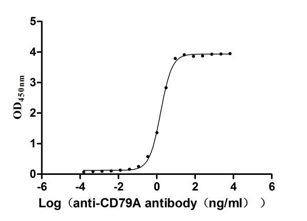 CD79A Recombinant Monoclonal Antibody