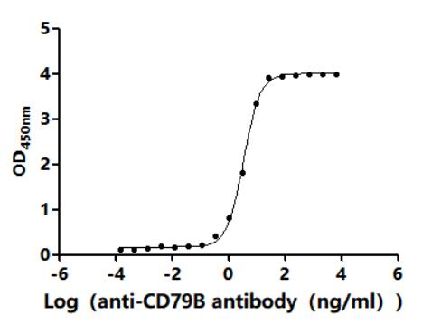 CD79B Recombinant Monoclonal Antibody