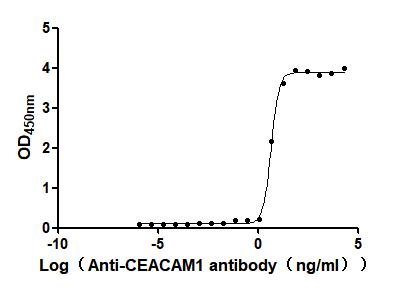 CEACAM1 Recombinant Monoclonal Antibody