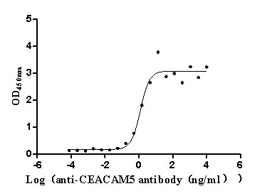 CEACAM5 Recombinant Monoclonal Antibody