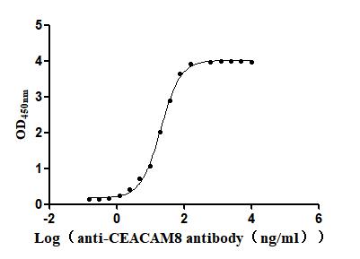 CEACAM8 Recombinant Monoclonal Antibody
