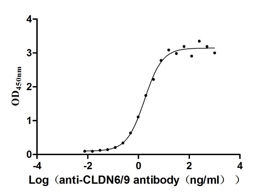 CLDN6/9 Monoclonal Antibody
