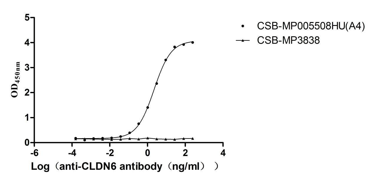 CLDN6 Recombinant Monoclonal Antibody