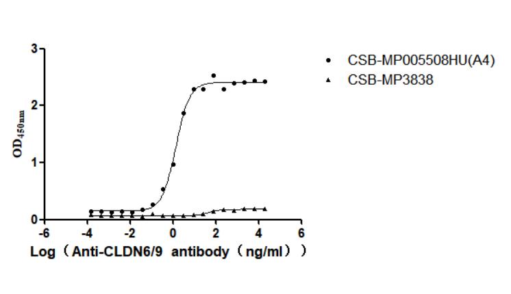 CLDN6/9 Recombinant Monoclonal Antibody