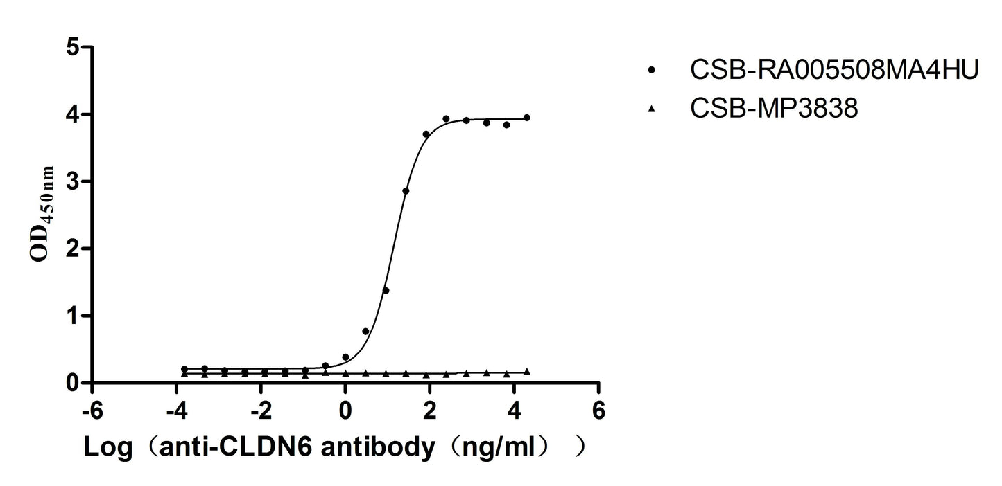 CLDN6 Recombinant Monoclonal Antibody