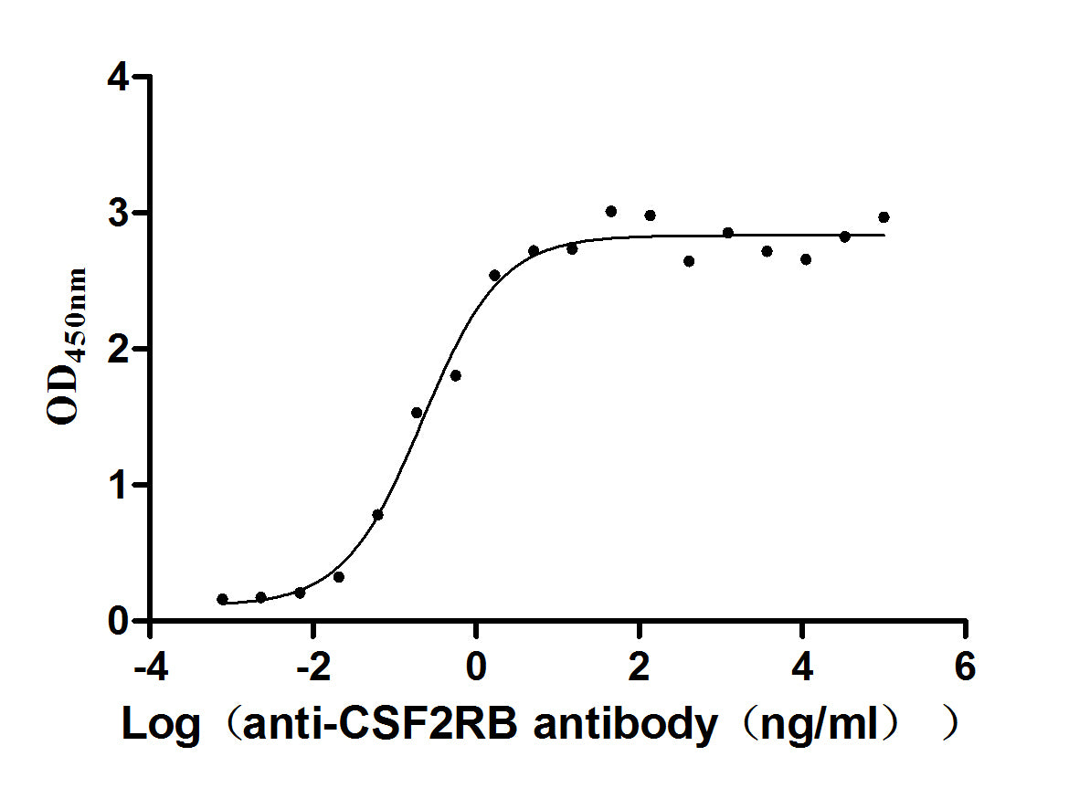 CSF2RB Monoclonal Antibody