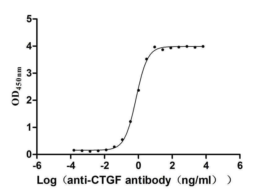 CTGF Recombinant Monoclonal Antibody