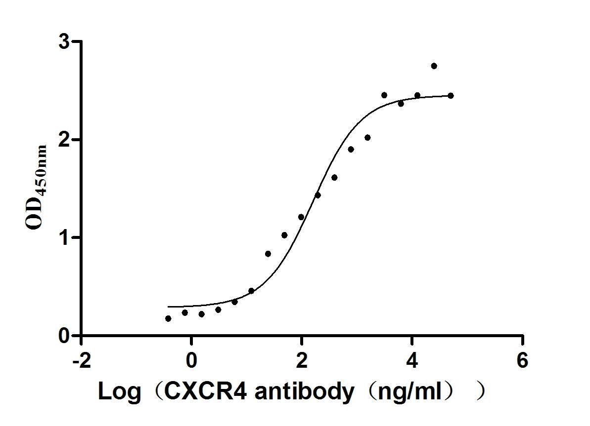 CXCR4 Monoclonal Antibody