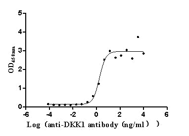 DKK1 Recombinant Monoclonal Antibody