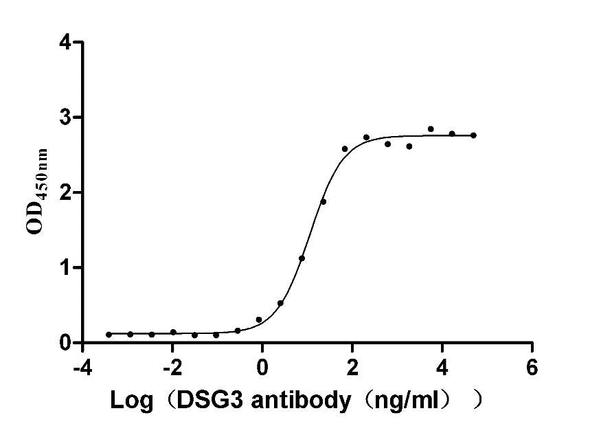 DSG3 Monoclonal Antibody