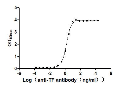 TF Recombinant Monoclonal Antibody