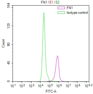 FN1 Recombinant Monoclonal Antibody