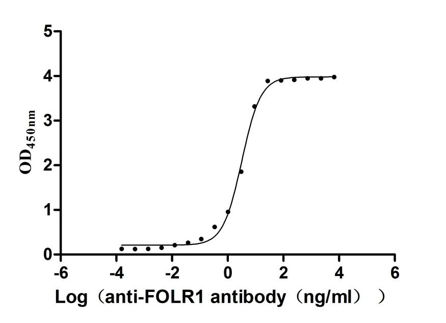 FOLR1 Recombinant Monoclonal Antibody