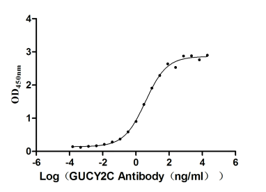 GUCY2C Monoclonal Antibody