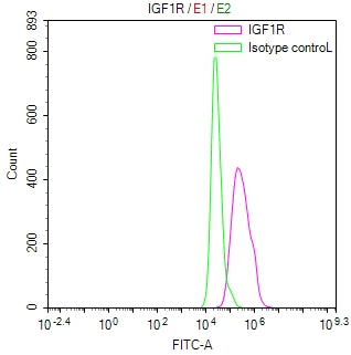 IGF1R Recombinant Monoclonal Antibody