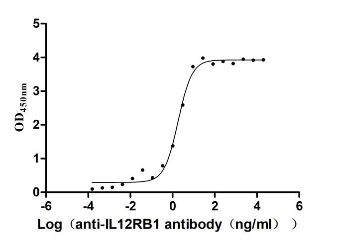 IL12RB1 Recombinant Monoclonal Antibody