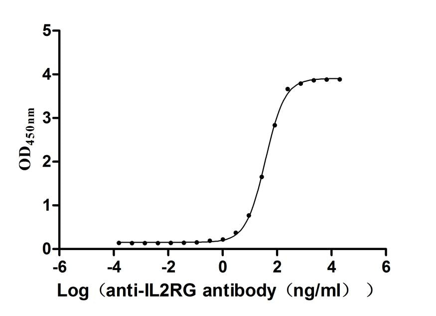 IL2RG Recombinant Monoclonal Antibody