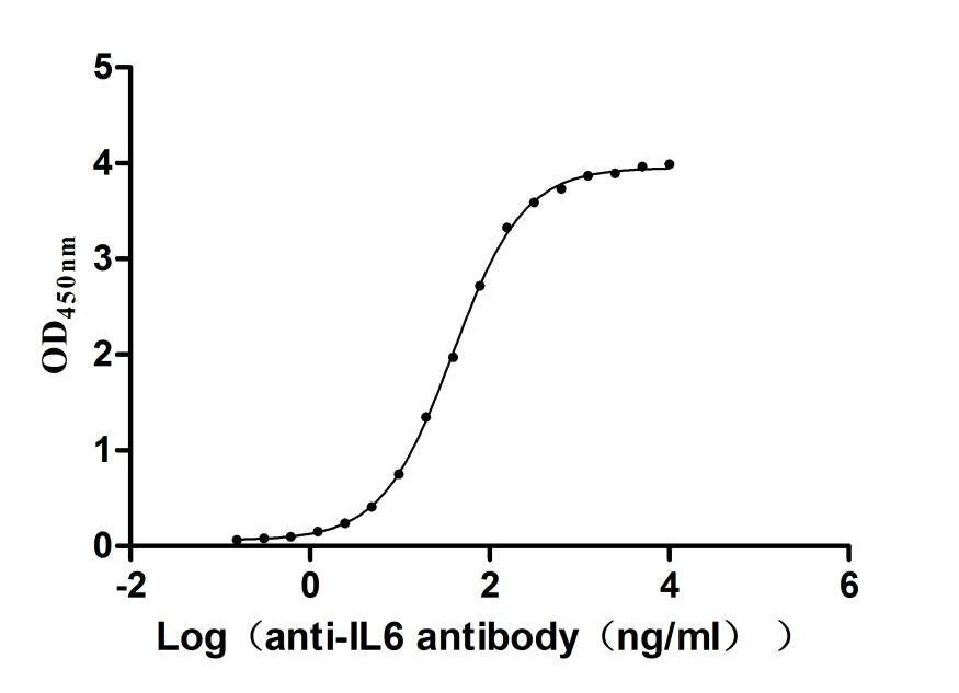 IL6 Recombinant Monoclonal Antibody