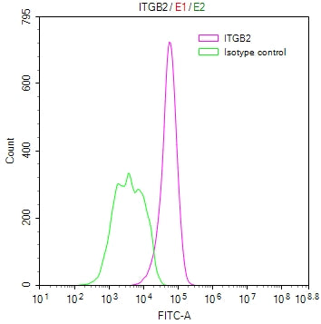 ITGB2 Recombinant Monoclonal Antibody