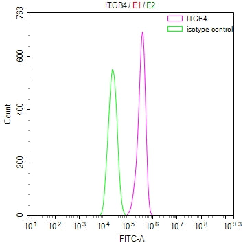ITGB4 Recombinant Monoclonal Antibody