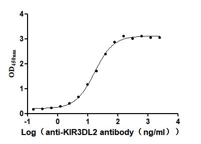 KIR3DL2 Recombinant Monoclonal Antibody