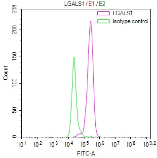LGALS1 Recombinant Monoclonal Antibody