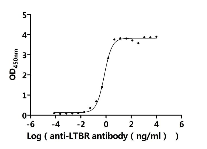 LTBR Recombinant Monoclonal Antibody