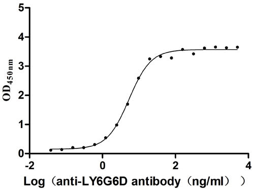 LY6G6D monoclonal antibody