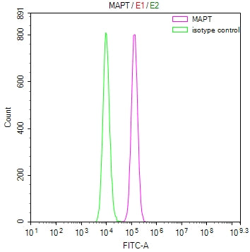 MAPT Recombinant Monoclonal Antibody