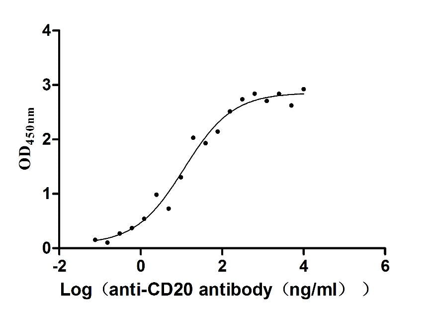 MS4A1 Monoclonal Antibody