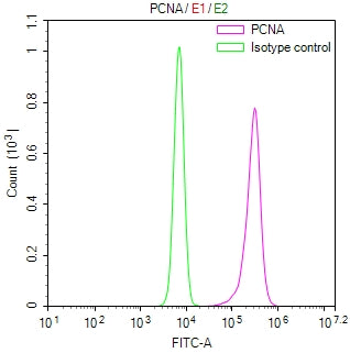 PCNA Recombinant Monoclonal Antibody