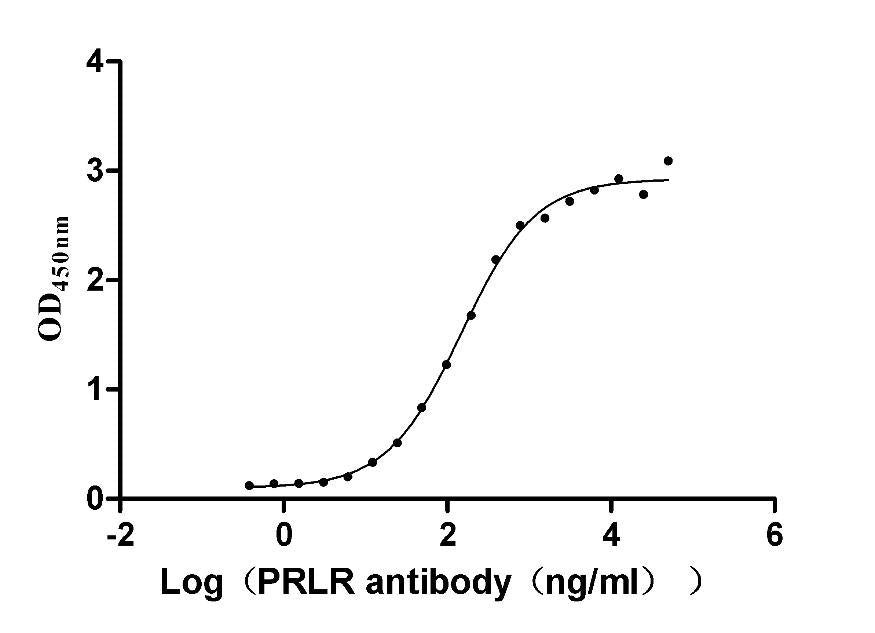 PRLR Monoclonal Antibody