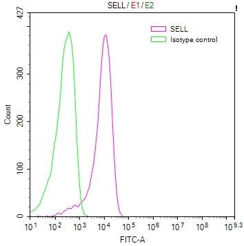 SELL Recombinant Monoclonal Antibody