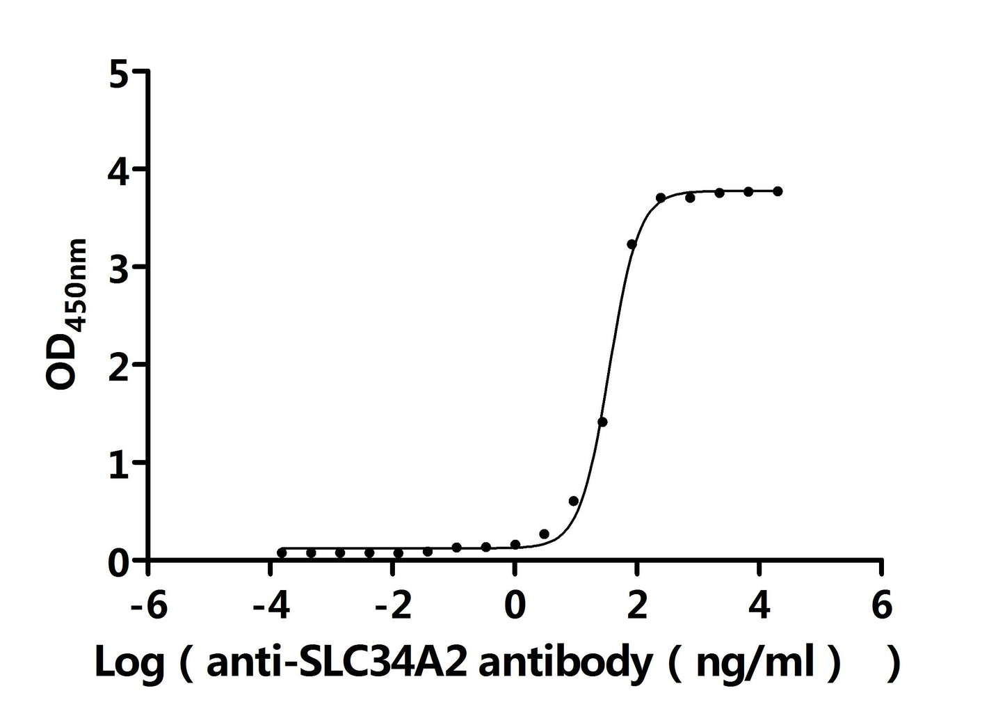 SLC34A2 Recombinant Monoclonal Antibody