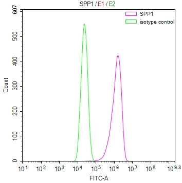 SPP1 Recombinant Monoclonal Antibody