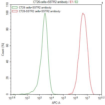 SSTR2 Monoclonal Antibody