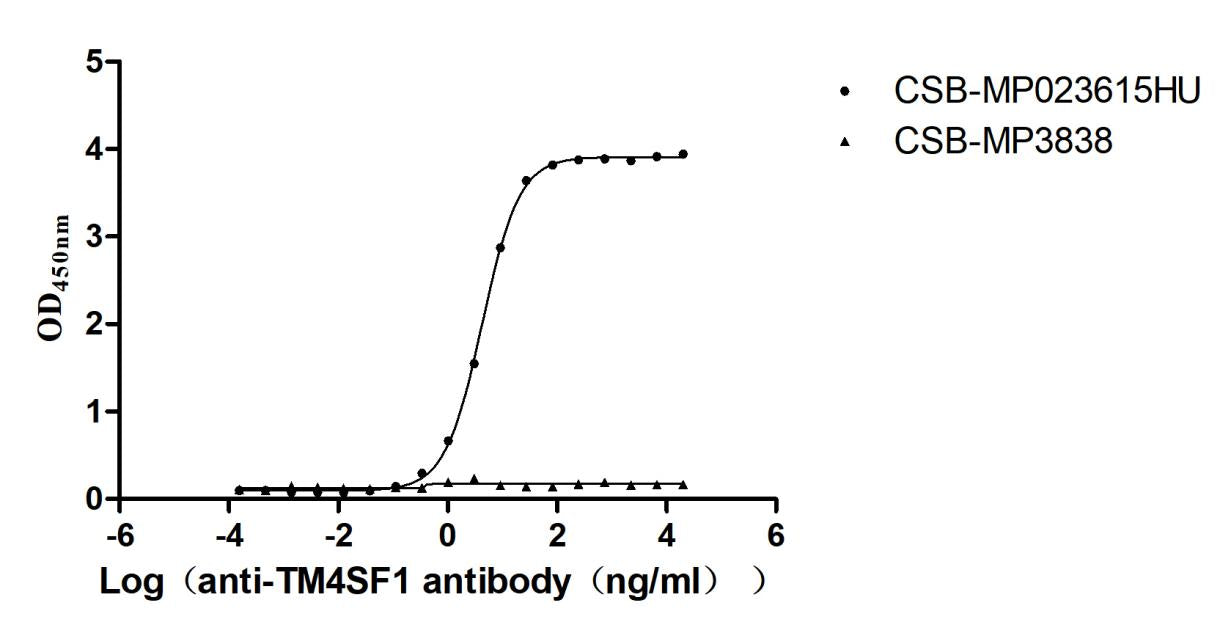 TM4SF1 Recombinant Monoclonal Antibody