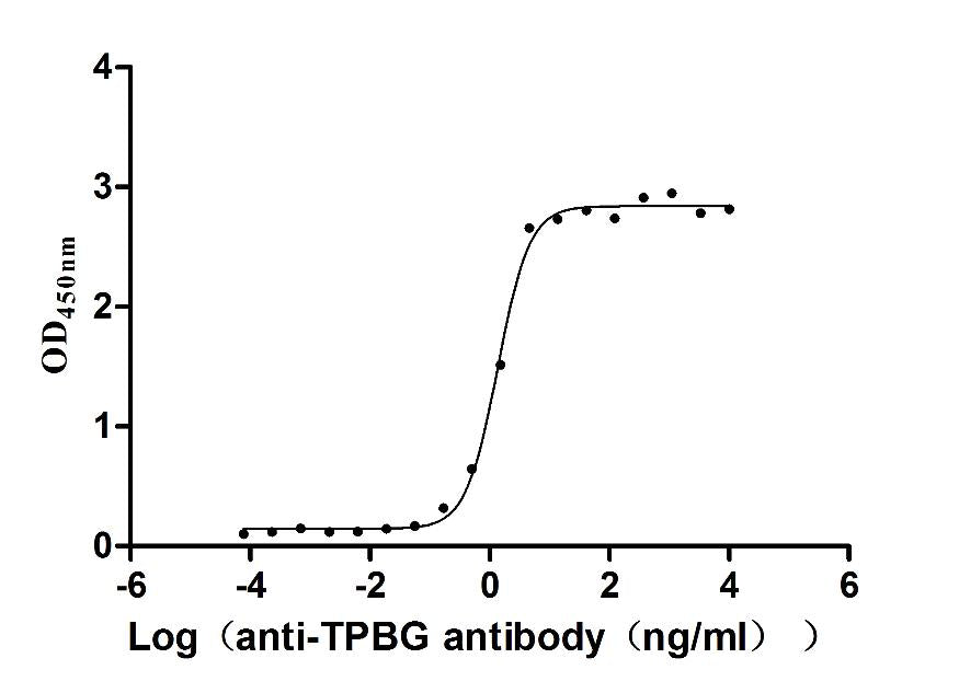 TPBG monoclonal antibody