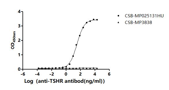 TSHR Recombinant Monoclonal Antibody