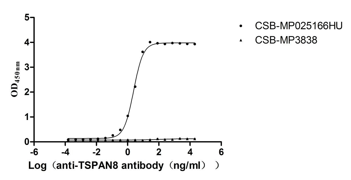 TSPAN8 Recombinant Monoclonal Antibody