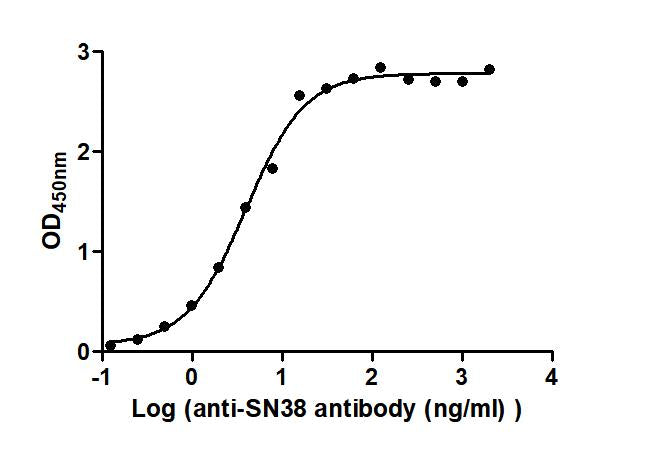 SN38 Recombinant Monoclonal Antibody