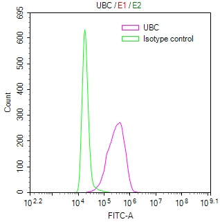 UBC Recombinant Monoclonal Antibody
