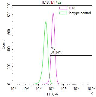 IL18 Recombinant Monoclonal Antibody