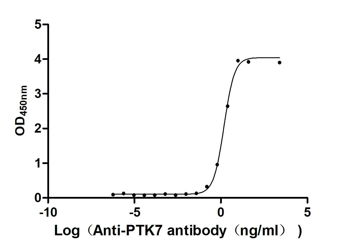 PTK7 Recombinant Monoclonal Antibody
