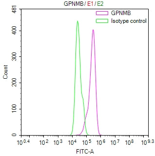 GPNMB Recombinant Monoclonal Antibody