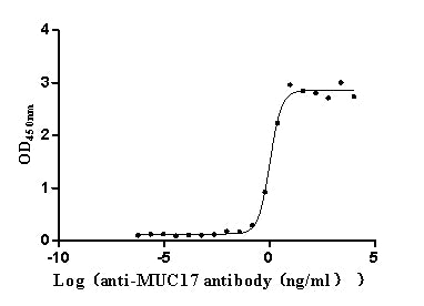 MUC17 Recombinant Monoclonal Antibody