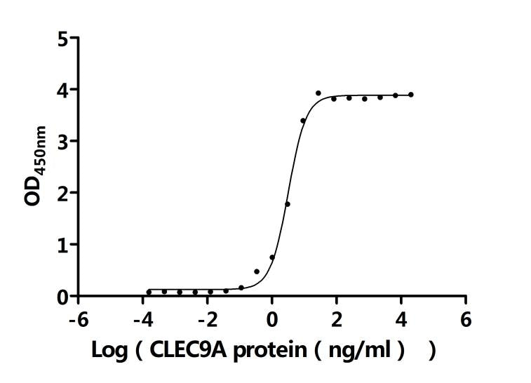 CLEC9A Recombinant Monoclonal Antibody