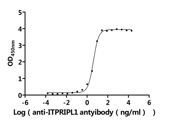 ITPRIPL1 Recombinant Monoclonal Antibody